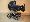 Focus gr�nat s gr�natov�m karov�n�m
