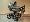 Focus cappucinno s prou�ky