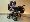 Focus �vestka s prou�ky