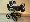 Focus hn�do-b�ov�