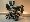 Focus olivov�-b�ov�