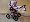 Focus b�l� s kv�ty