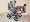 Focus k�vov� s kole�ky