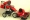 BEXA AX3 RED