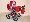 Focus �erven� s kv�ty